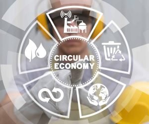 Publications topic 10