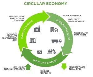 Sustainability Topic 9 image